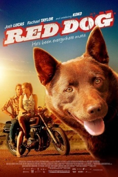 koko:红犬历险记 电影