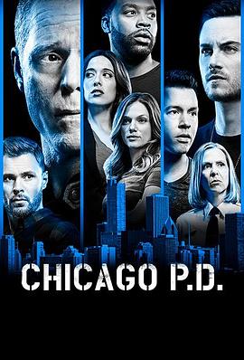 芝加哥警署 第六季评价