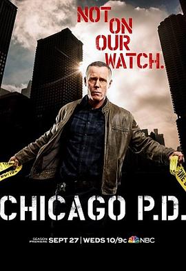 芝加哥警署 第五季电视剧