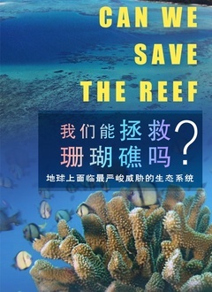 如何拯救珊瑚礁