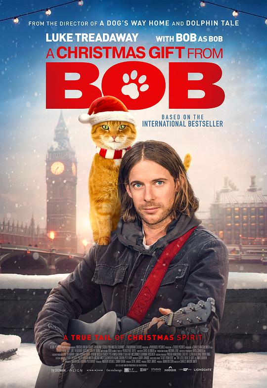 流浪猫鲍勃2:鲍勃的礼物观后感